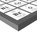 samira nicole brown  Canvas Prints