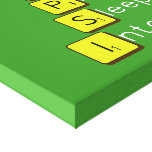 Eat
 Play
 Sleep
 Internet  Canvas Prints