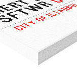 MERT B. SFTWR  Canvas Prints