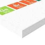 Gabriela  Canvas Prints