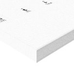 In s p i re  Canvas Prints