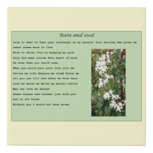 canvas -"Rain and seed'