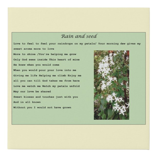 canvas -"Rain and seed' (Front)