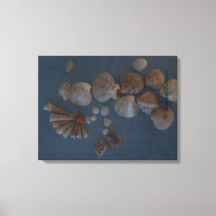 Canvas (SeaShell Lady) RFPMDesigns ©️2012 Print