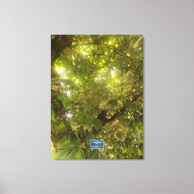 Canvas (Sun Green Tree 1) RFPMDesigns ©️2021/24 Print (Front)