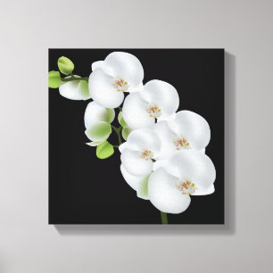 Canvas Wall Art-White Orchids Print