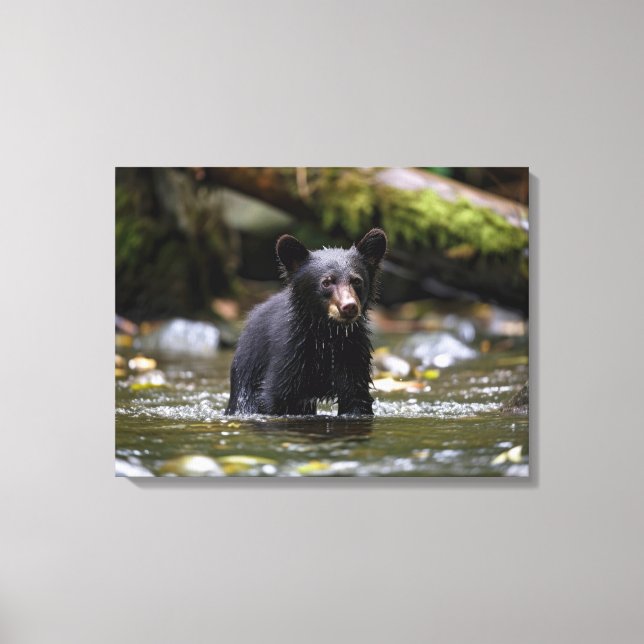 Canvas Wall Art-Yellowstone Black Bear Cub Print (Front)