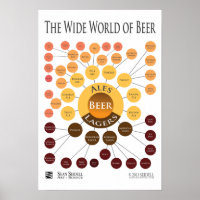 Canvas Wide World of Beer Infographic Print