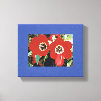 Canvas with Red Tulips Print