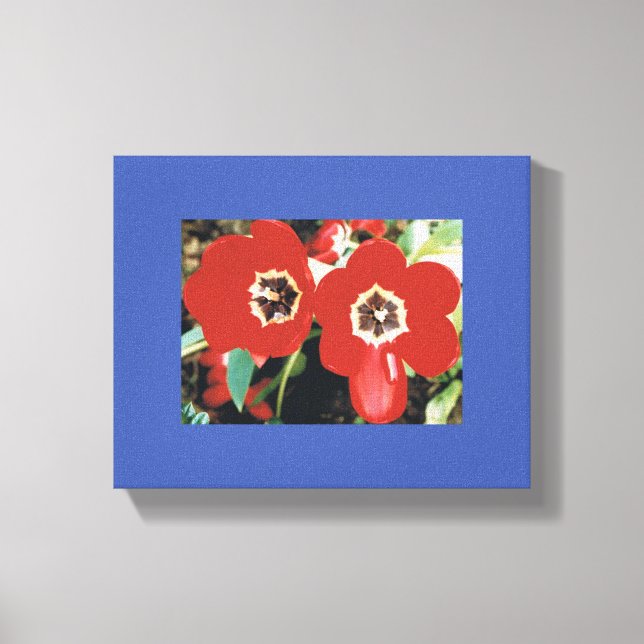 Canvas with Red Tulips Print (Front)