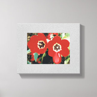 Canvas with Red Tulips Print
