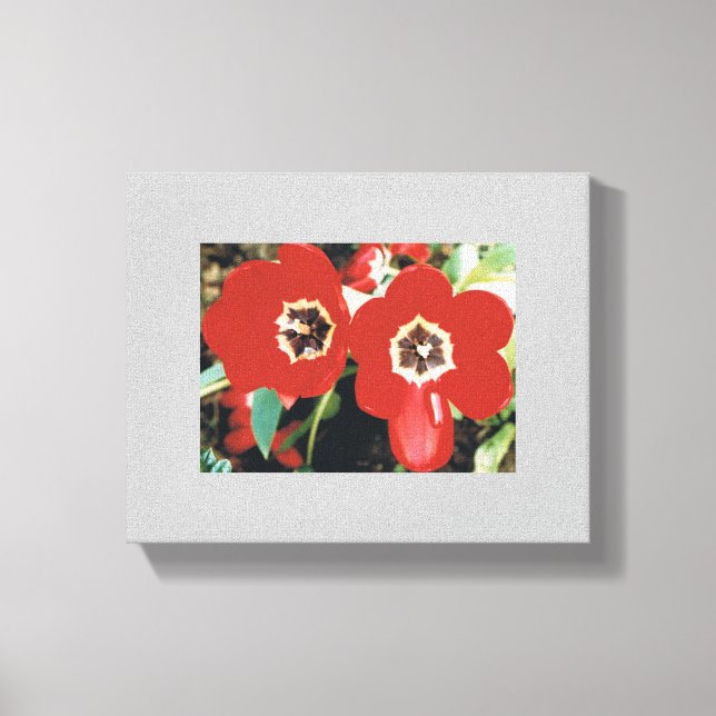 Canvas with Red Tulips Print (Front)