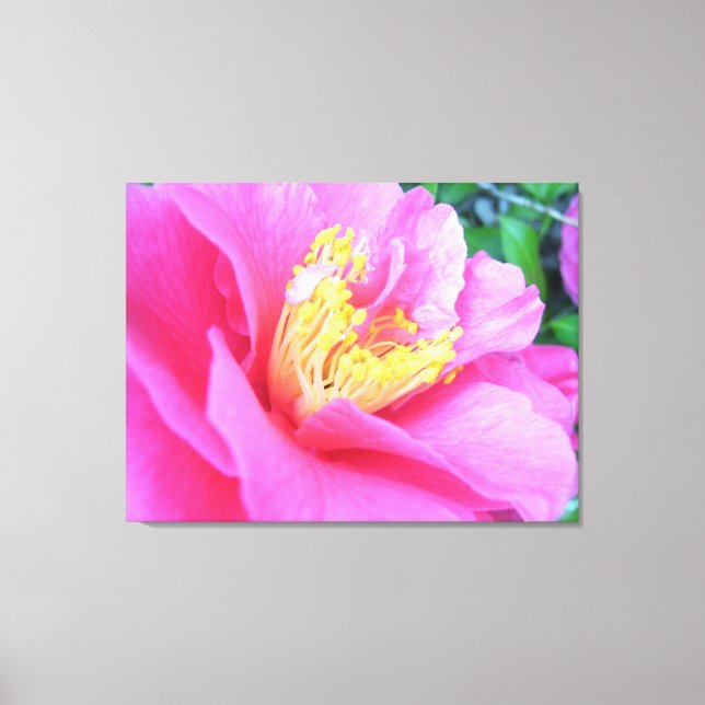 Canvas - Wrapped - Full Bloom Dark Pink Camellia Print (Front)