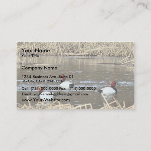Canvasback drakes business card