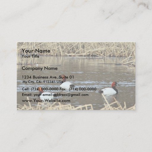 Customizable Canvasback drakes business card