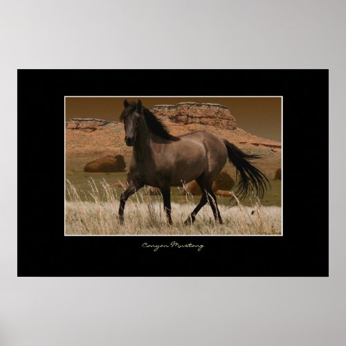 CANYON MUSTANG Horse Conservation Art Print