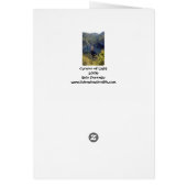 Canyon of Light Cards (Back)
