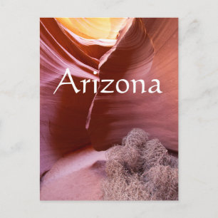 Canyon of many colors, Arizona Postcard