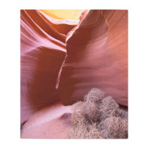 Canyon of many colors