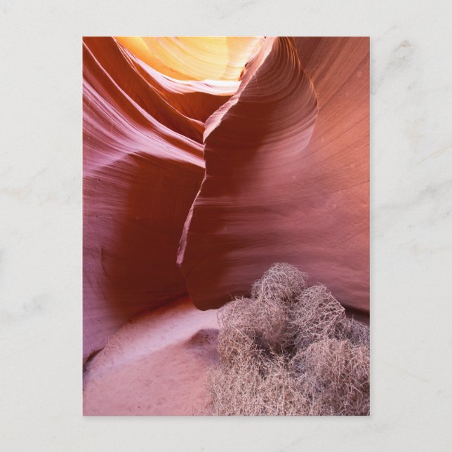 Canyon of many colors postcard (Front)