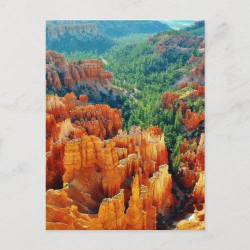 Canyon Postcard