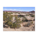 Canyonlands View from Cave Springs Trail Postcard