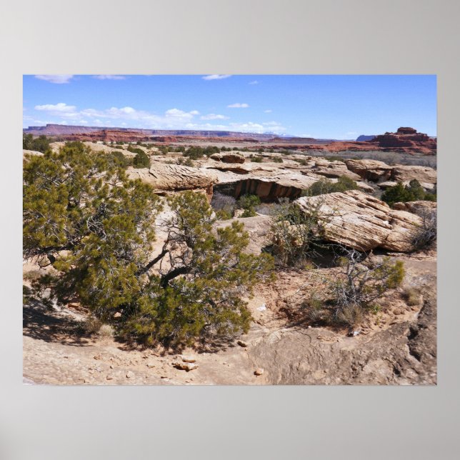 Canyonlands View from Cave Springs Trail Poster (Front)