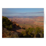 Canyonlands View from Grand View Point Trail Cards