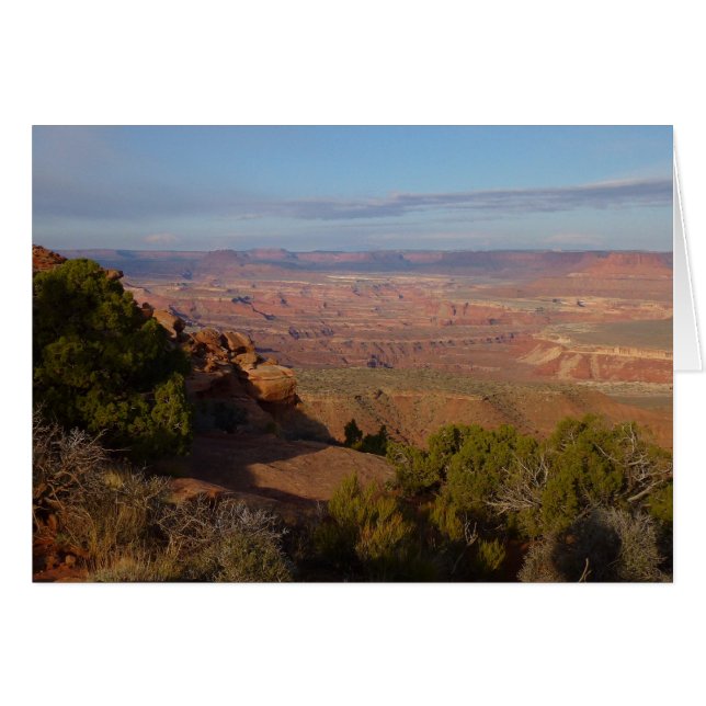 Canyonlands View from Grand View Point Trail Cards (Front Horizontal)