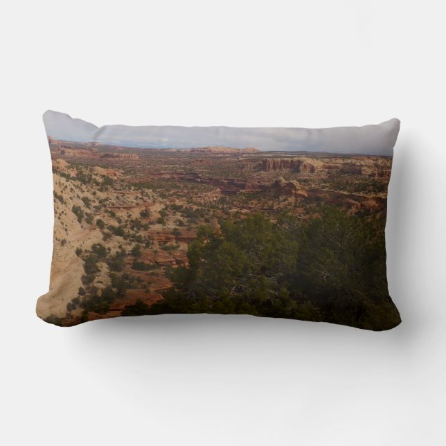 Canyonlands View from Neck Springs Trail Lumbar Pillow (Front)