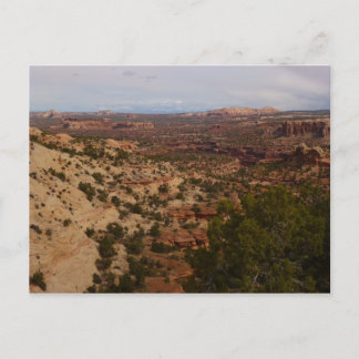 Canyonlands View from Neck Springs Trail Postcard