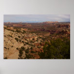 Canyonlands View from Neck Springs Trail Poster