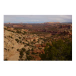 Canyonlands View from Neck Springs Trail Poster