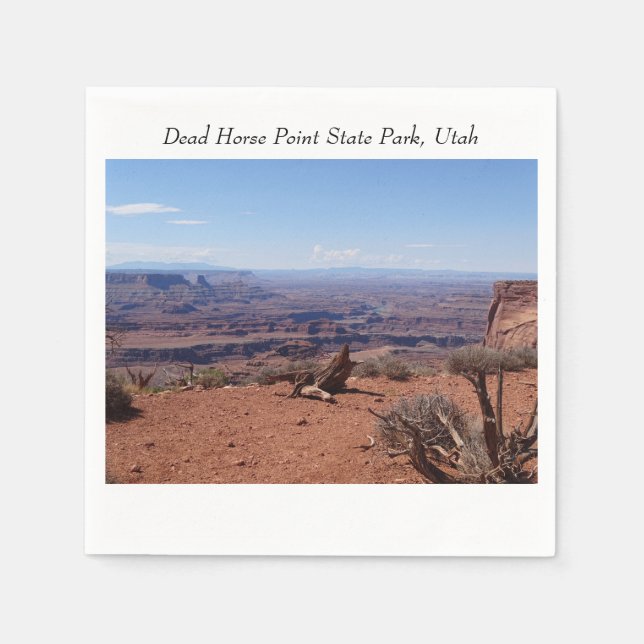 Canyons at Dead Horse Point State Park Napkins (Front)