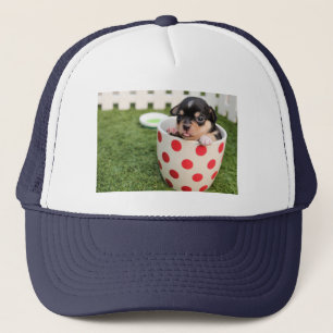 Cap with cute little puppy