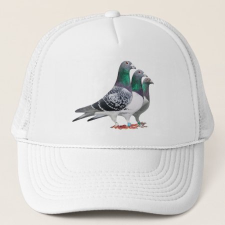 Cap With Trio Of Carrier Pigeons
