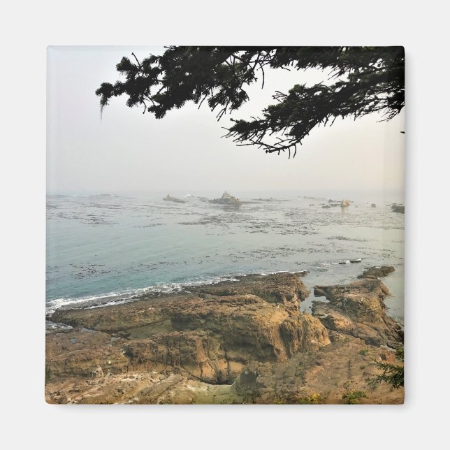 Cape Arago State Park, Oregon Coast Magnet (Front)