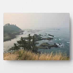 Cape Arago State Park, Oregon Coast Plaque