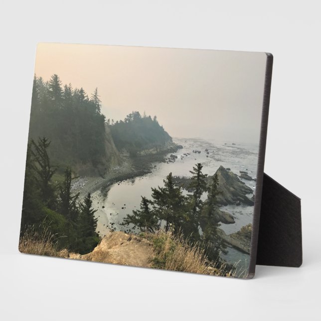 Cape Arago State Park, Oregon Coast Plaque (Side)