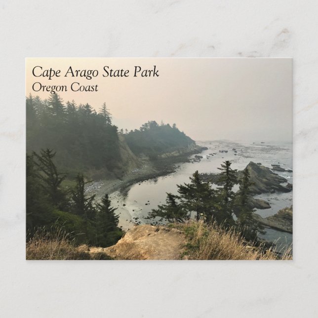 Cape Arago State Park, Oregon Coast Postcard (Front)