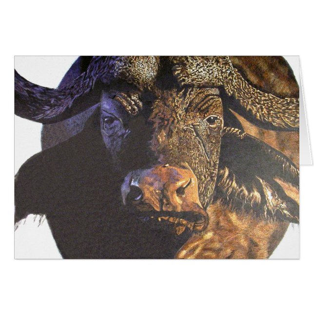 Cape Buffalo Cards (Front Horizontal)