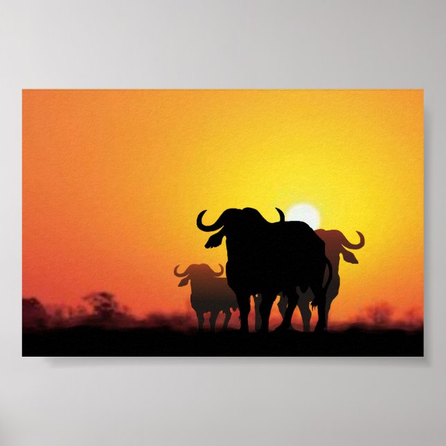 Cape Buffalo Poster (Front)