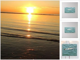 Cape Cod