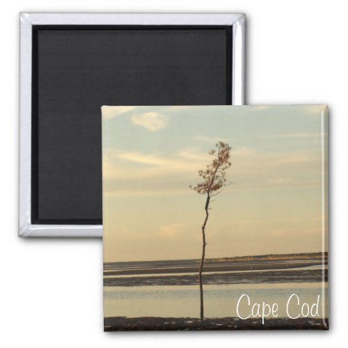 Cape Cod Beach Relaxing Sunset Photo Magnet