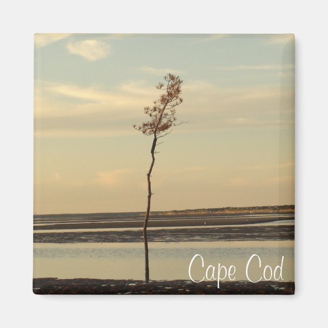 Cape Cod Beach Relaxing Sunset Photo Magnet (Front)