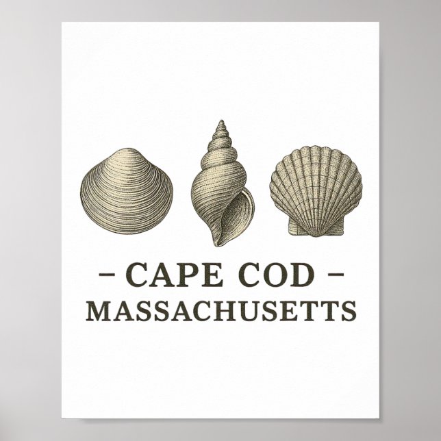 Cape Cod Beach Vacation Vintage Seashells Sheller  Poster (Front)