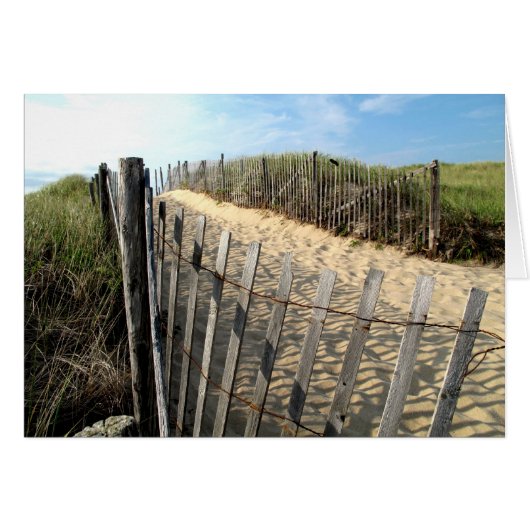 Cape Cod Dune Fencing Cards (Front Horizontal)