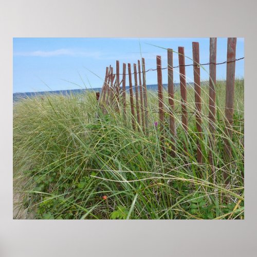 Cape Cod Dunes Poster