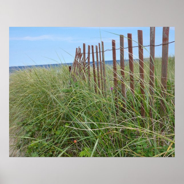 Cape Cod Dunes Poster (Front)