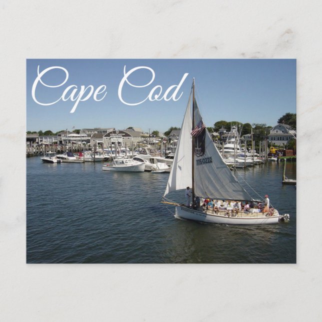 Cape Cod Hyannis, Massachusetts Post Card (Front)